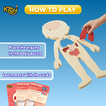 Inside Out! Human Body Parts Puzzle Educational Anatomy Toy for Kids