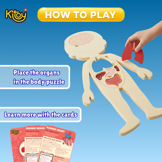Inside Out! Human Body Parts Puzzle Educational Anatomy Toy for Kids