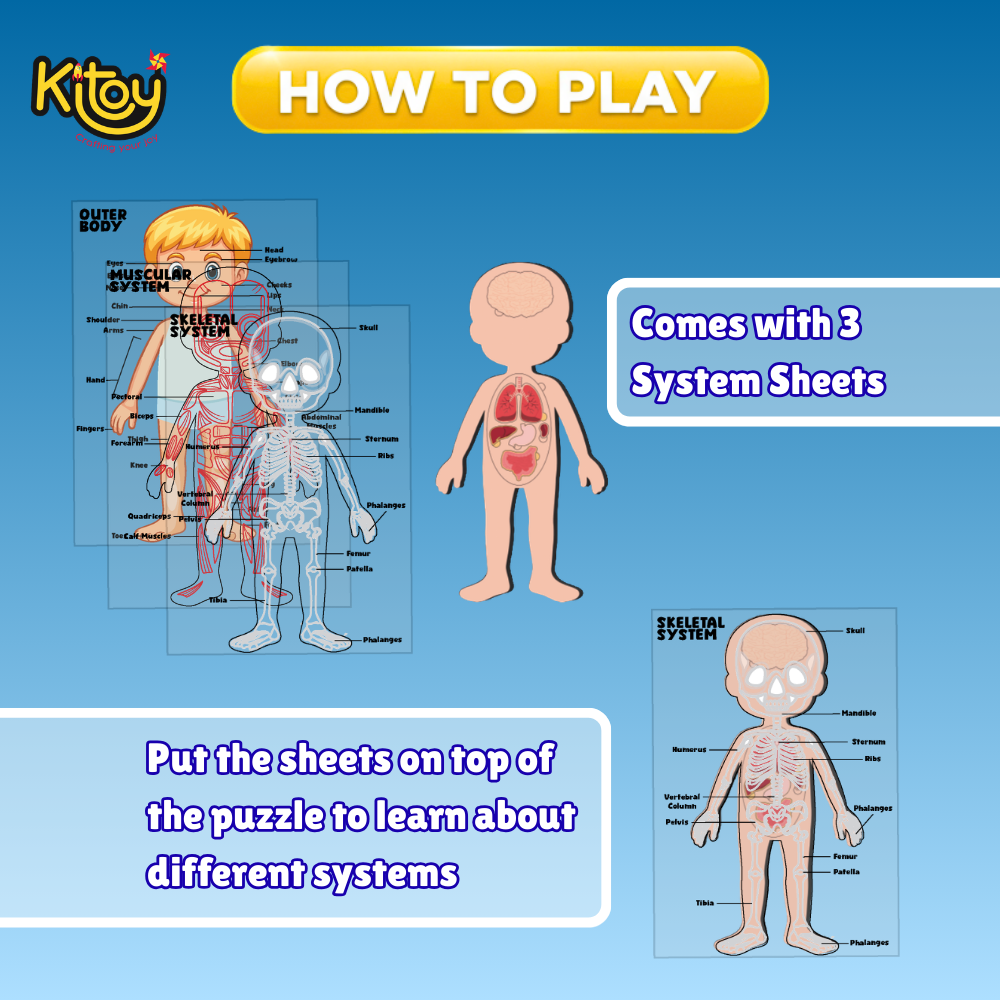 Inside Out! Human Body Parts Puzzle Educational Anatomy Toy for Kids
