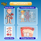 Inside Out! Human Body Parts Puzzle Educational Anatomy Toy for Kids